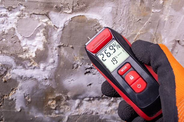 Professional Mold Removal in Midway, AR