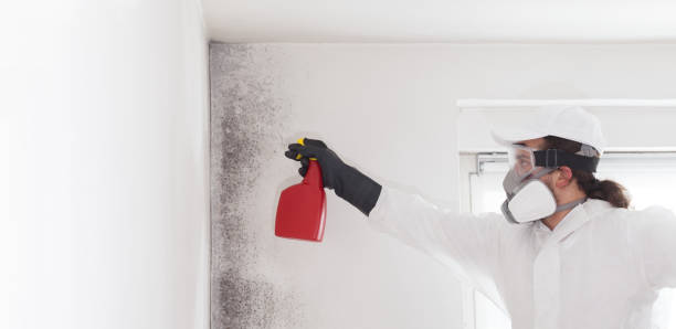 Certified Mold Removal in Midway, AR